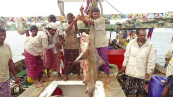 12 people arrested in Djibouti for illegal fishing