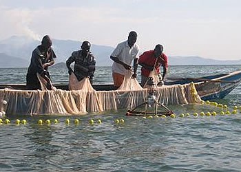 Africa: Illegal Fishing Persists in Lake Victoria.