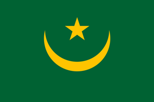 Pêche illégale : La Marine Mauritanienne Arraisonne 10 Bateaux et Inflige des Amendes d’un Million de Dollars