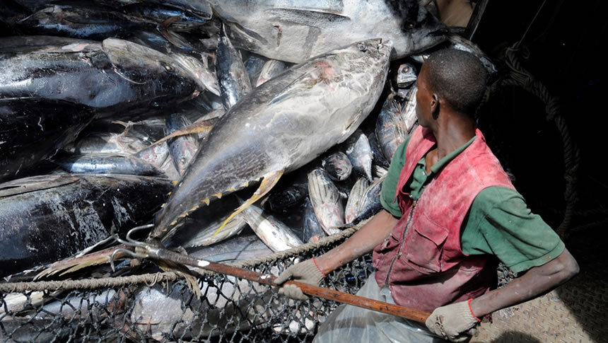 Nigeria Fisheries unions protest multiple taxation, sea piracy, others