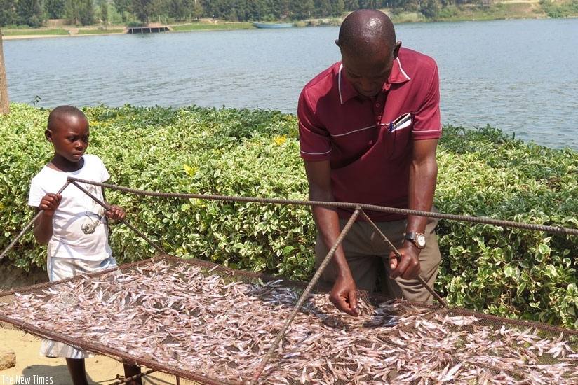 Rwanda: New fisheries firm expected to set up fish feeds factory in Kigali