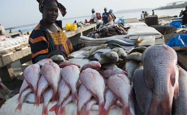 Woman standing by a pile a fish in front of her at a fish market