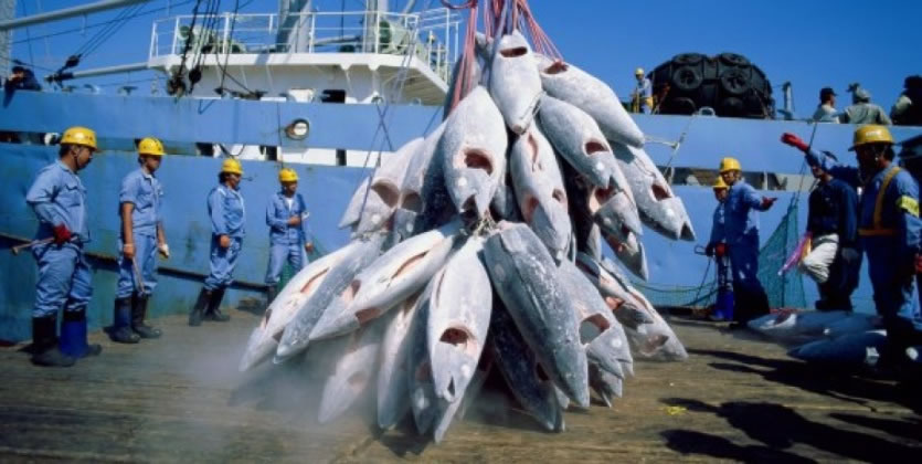 UE pêche illégale