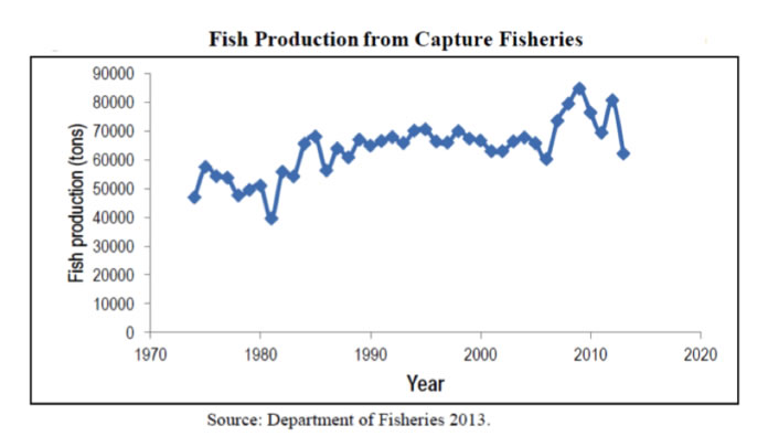 fish production 696x395