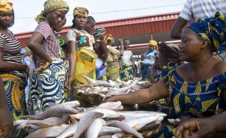 l'importation illegale de poissons en provenance du benin coute au nigeria 9 milliards de nairas chaque année