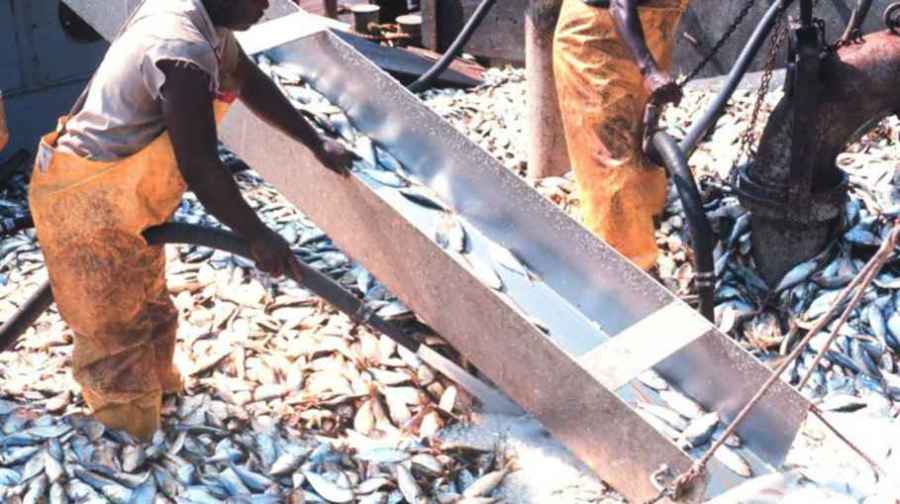 Nigeria, others to get €15m facility to develop fisheries sector