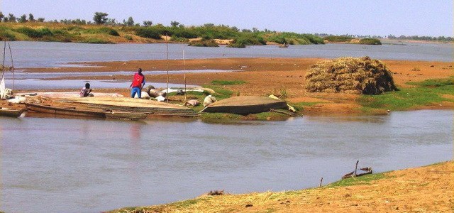 Nigeria: Lake Chad fish traders lament high tariffs