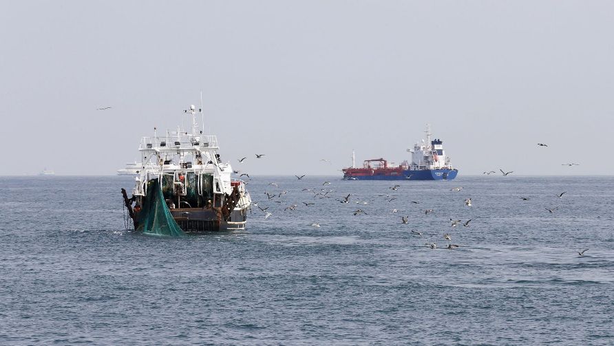 Africa : A lack of big data is hampering efforts to curb illegal fishing in Africa