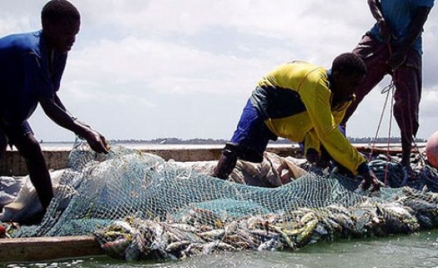 Photo: Daily News - Government warns illegal fishers.