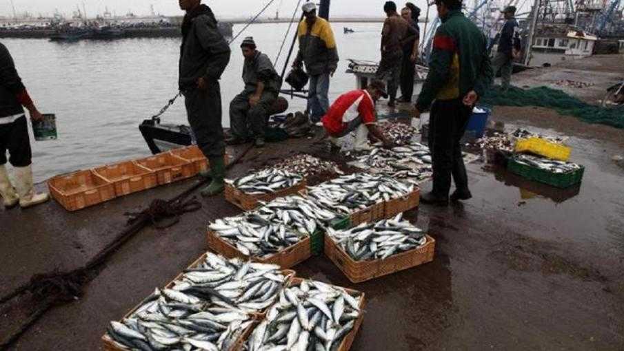 Morocco-EU: Court rules that Morocco-EU fishing deal must not extend to Western Sahara