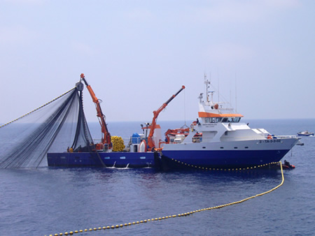 Ghana needs a fishing research vessel