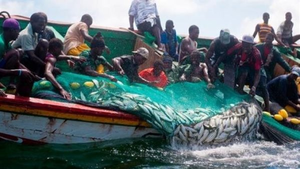 Pêche illégale en Afrique de l'Ouest: La Chine suspend les subventions et retire la licence à des compagnies impliquées