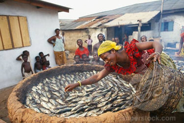 Ghana: Patronise improved fish smoking ‘Ahotor Oven’ as protective measure - Processors asked