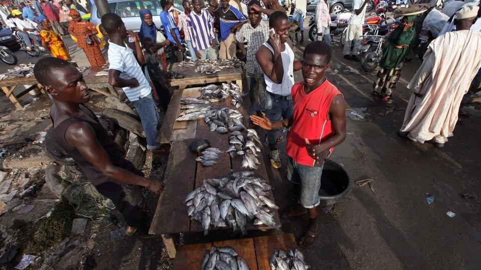 Nigeria fishmarket 5