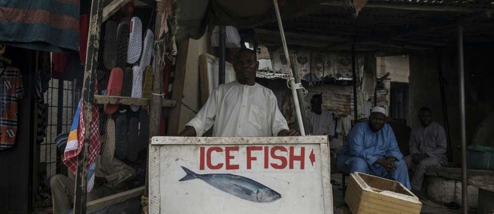 La malédiction Boko Haram continue de frapper la pêche, principale richesse du lac Tchad © AFP/Archives / STEFAN HEUNIS