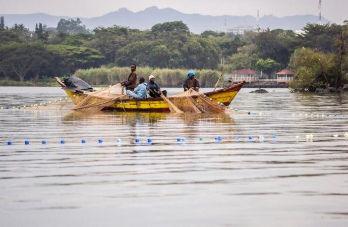 Ouganda – Kénya : la tension monte sur les zones de pêche du lac Victoria