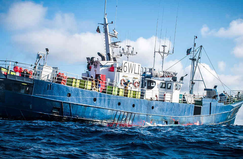 The fishing vessel Vema, arrested for shark finning. Sea Shepherd Global