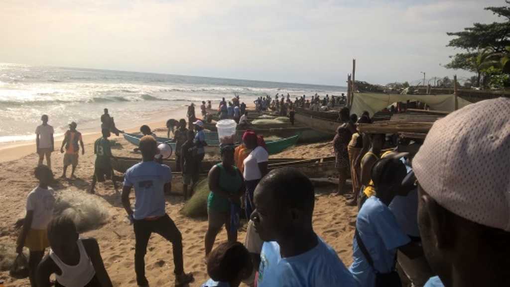 Liberia: Government, fishing industry agree to end illegal fishing