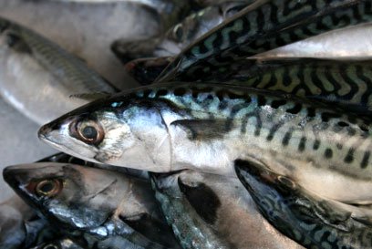 Nigeria: Fed Govt decries $984m spent on fish importation
