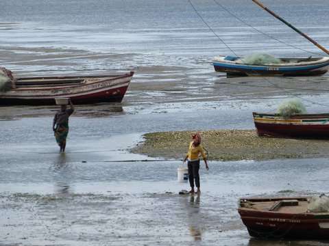 Illegal fishing costs Mozambican economy US $60m annually