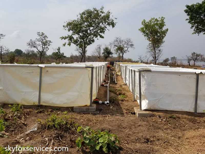 Ghana: Skyfox provides 50 fish ponds for farmers in Volta Region