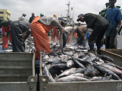 Kenya lifts China fish ban to boost supply