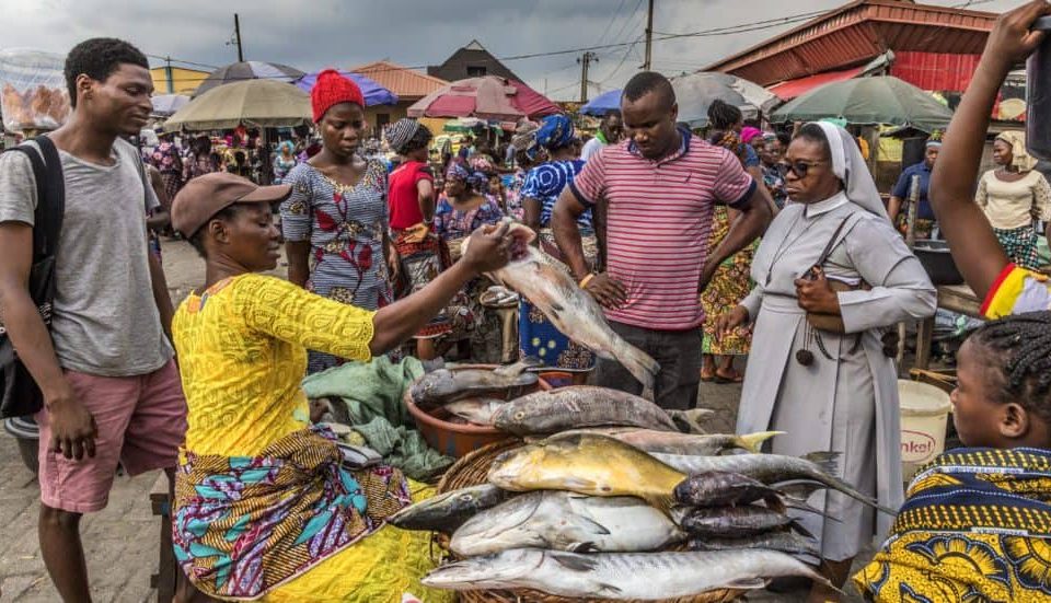 Nigeria fish market - Credit: Andrew Esiebo