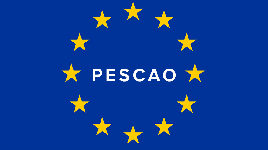 Le Projet COPACE-PESCAO Recherche des Consultants Nationaux dans la Région du CPCO