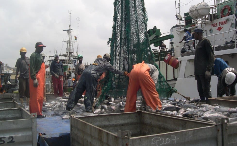 Ghana is Losing Millions of dollars in Revenue from Chinese-owned Industrial Fishing Fleet