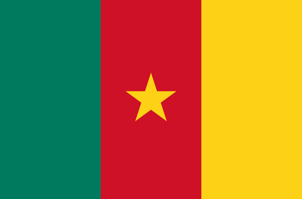 Cameroon flag big