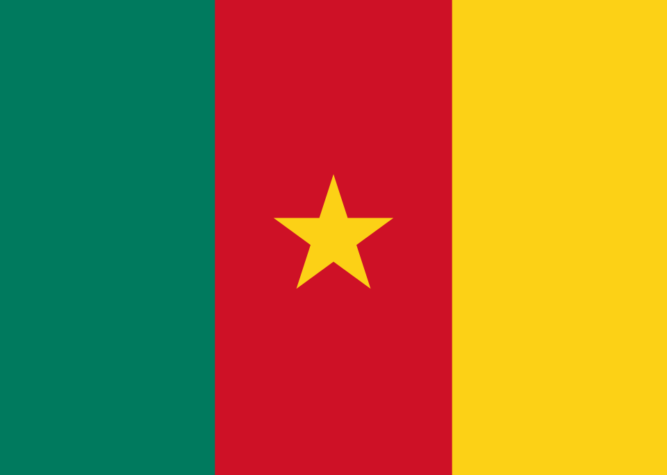 Cameroon flag big