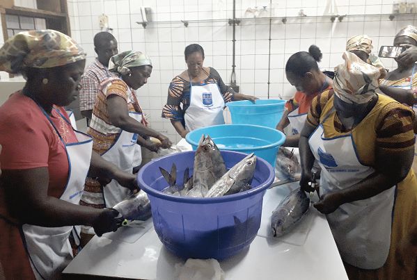 Ghana: Fish processors undergo training on hygiene
