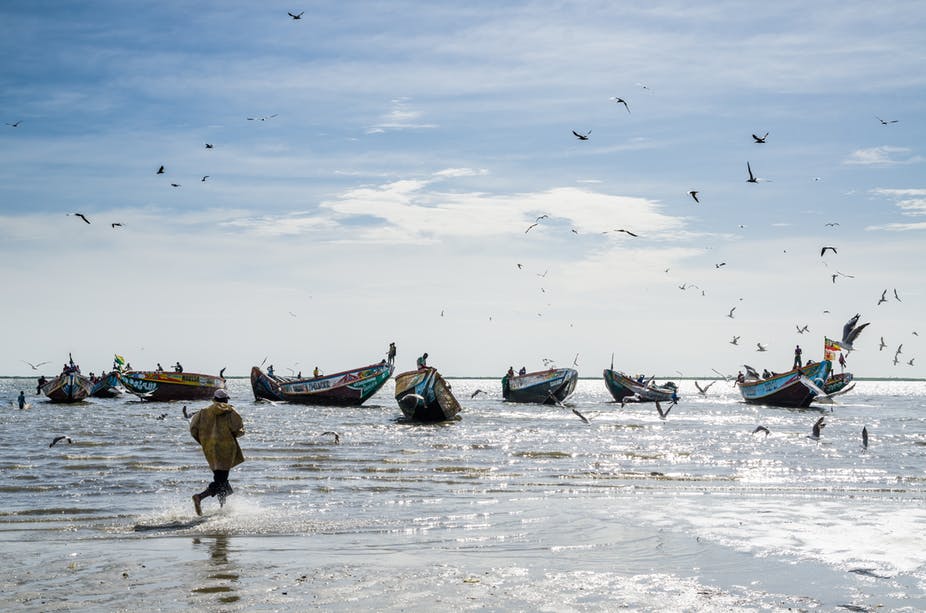 Senegal-fishing-boats