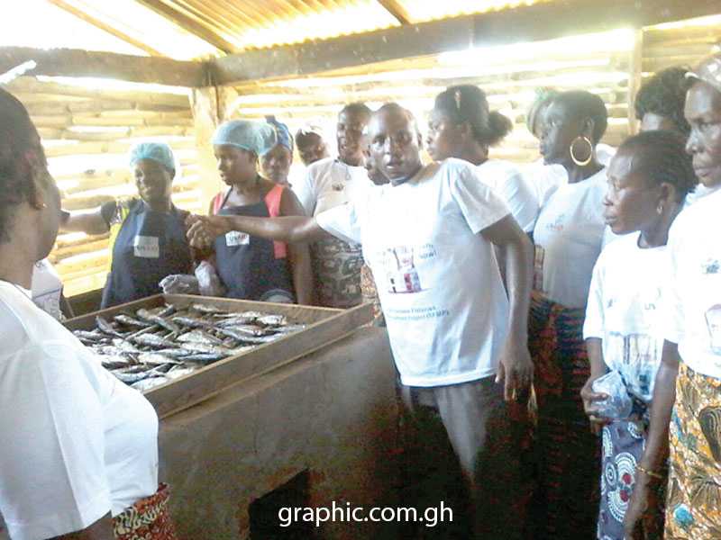 Ghana: Fish smoked with "ahotor" oven healthier - Fisheries Commission