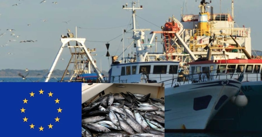 Liberia: National Fisheries and Aquaculture Authority fighting to lift EU yellow card on Liberian fishing vessels