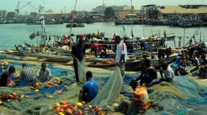 Ghana Tema artisanal fishing