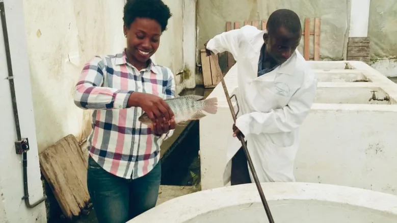 How Women in Aquaculture can Contribute to Social Stability in Kenya