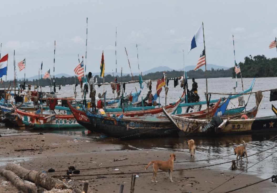 Liberia: NaFAA Begins Final 2020 Fishery Fees Collection across Fishing Communities
