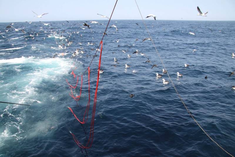 Bird-scaring lines in action in a Namibian longline fishery © John Paterson