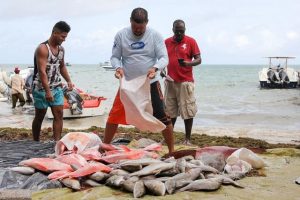 Michaud said fisheries are for all Seychellois and it is important to be accountable and have a system where you get more participation of all the different groups. (File photo: Romano Laurence)  Photo license