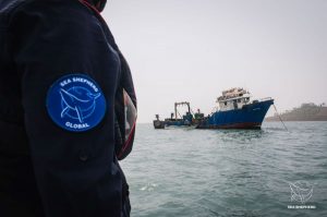 Sea Shepherd assists Sierra Leone Navy in arrest of five illegal fishing vessels.