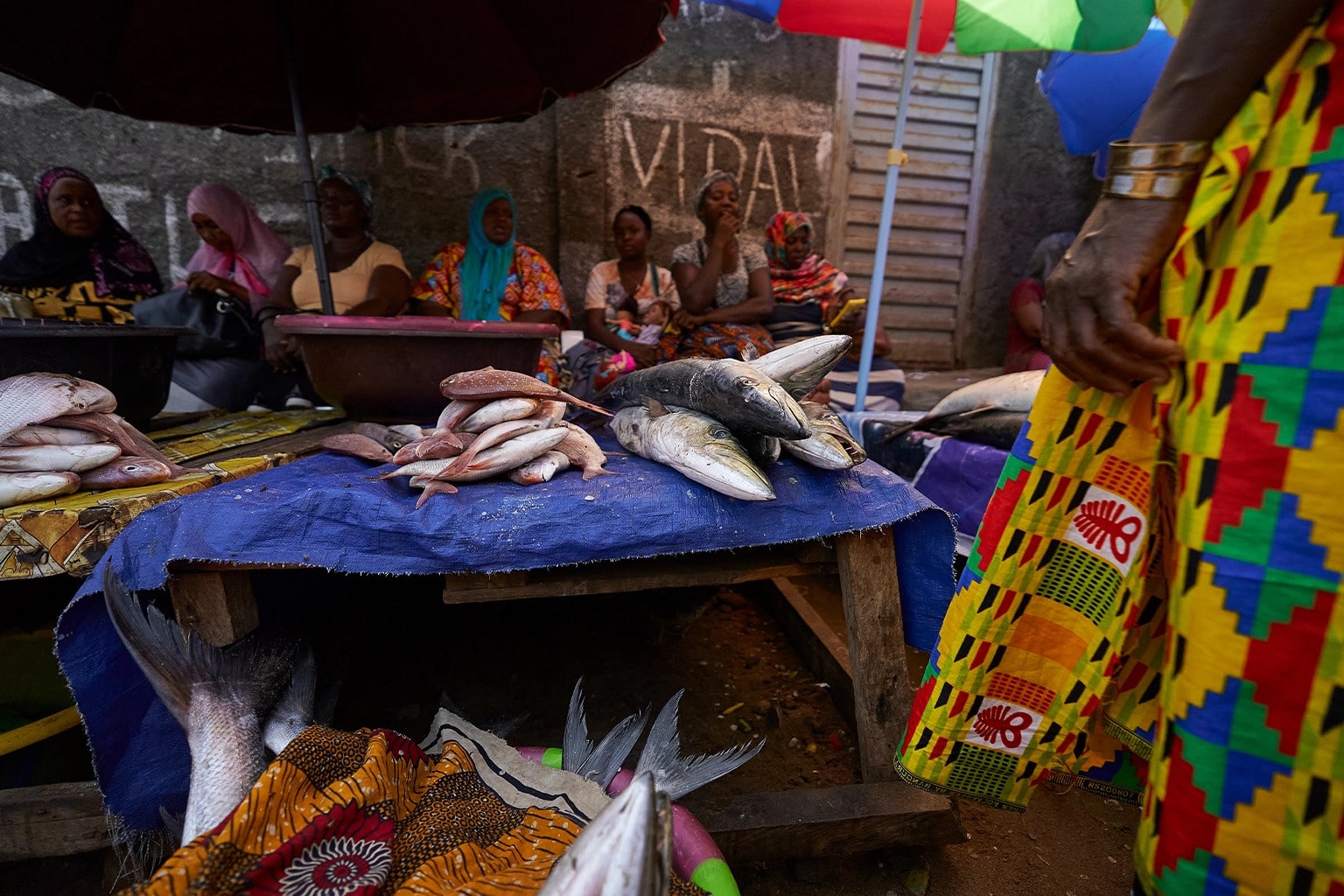Barracuda and snapper on offer at a stall near Goderich wharf near Freetown. Fishers say they’ve had to go further out to sea for a good catch in recent years. Image by Ashoka Mukpo/Mongabay.