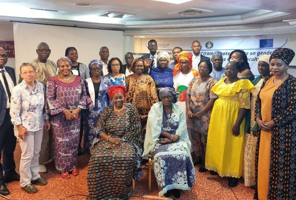 FCWC Participates in ECOWAS Gender and Youth Challenges in West Africa Workshop