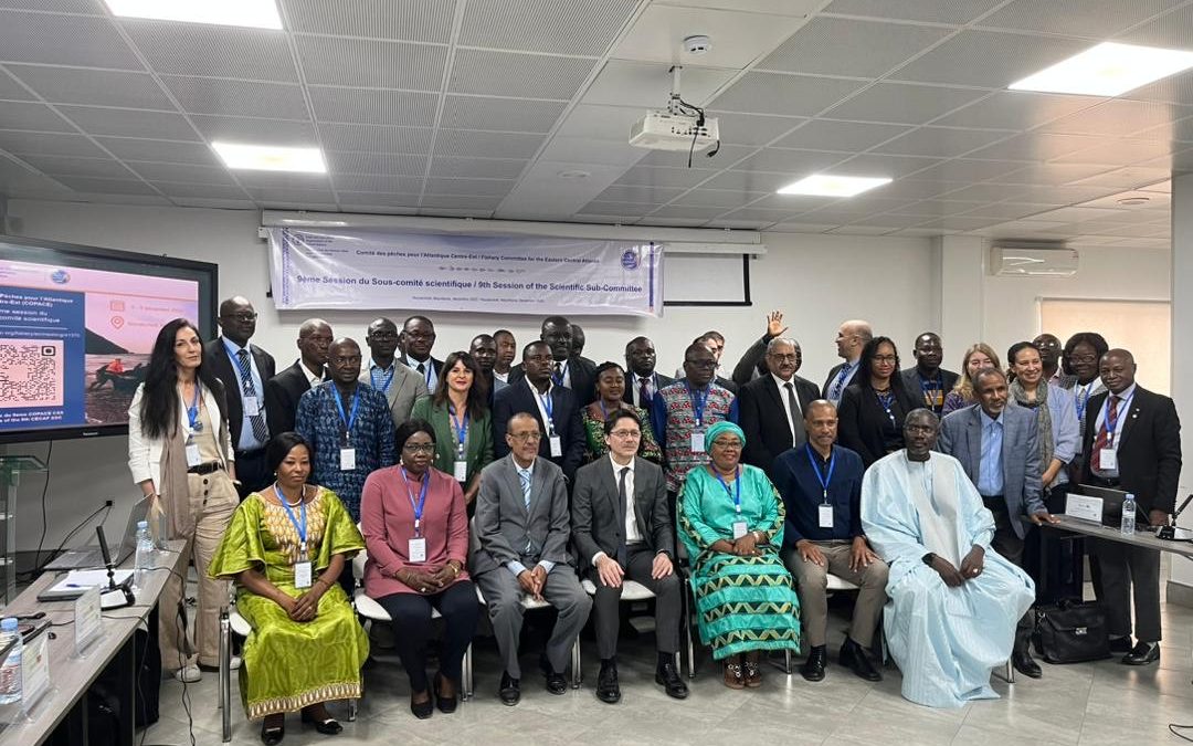 Group photo - FCWC Participates in CECAF Committee Session on Fisheries Research
