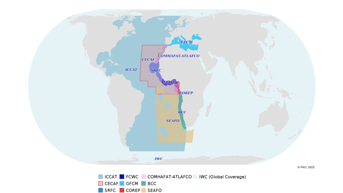 Le CPCO a Participé à une Consultation sur l'Élaboration d'un Cadre de Coordination dans le Centre-Est de l'Océan Atlantique.
